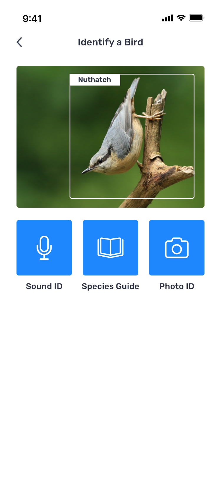 Bird ID landing page